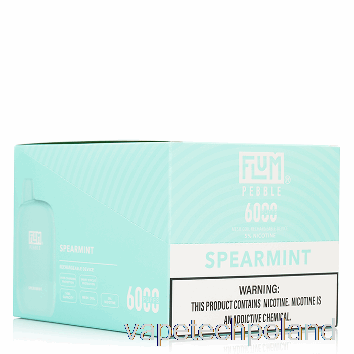 Vape Pod [10 Szt.] Flum Pebble 6000 Jednorazowego Użytku